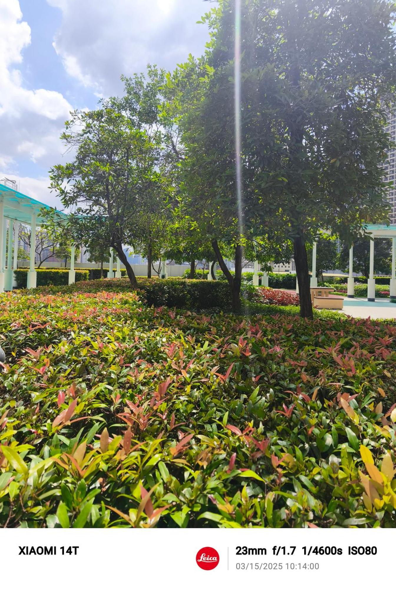 Apartment Unit-sm Jazz Residences